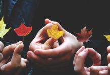 Building Community – What You Need To Know! Leaves in Autumn