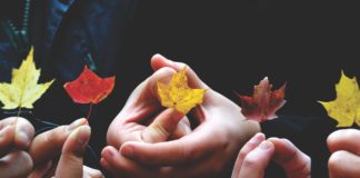 Building Community – What You Need To Know! Leaves in Autumn