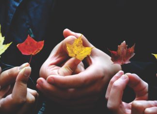 Building Community – What You Need To Know! Leaves in Autumn