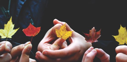 Building Community – What You Need To Know! Leaves in Autumn
