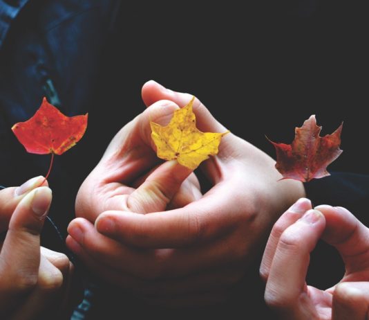 Building Community – What You Need To Know! Leaves in Autumn