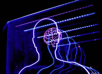 IQ Vs EQ (Emotional Intelligence): Which Is More Important? EQ versus IQ