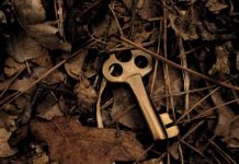 Building Your Capability – A Challenge for All Key in foliage