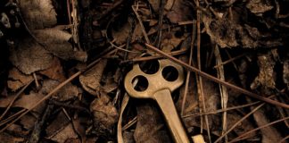 Building Your Capability – A Challenge for All Key in foliage