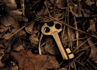 Building Your Capability – A Challenge for All Key in foliage