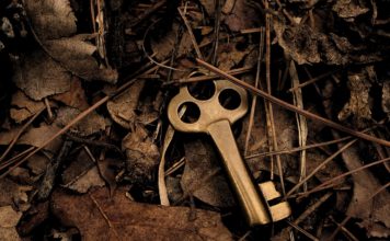 Building Your Capability – A Challenge for All Key in foliage