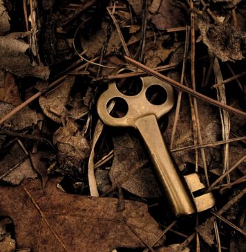 Building Your Capability – A Challenge for All Key in foliage