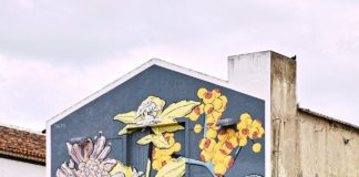 The Psychology Of First Impressions Colour