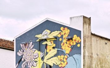 The Psychology Of First Impressions Colour