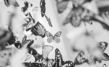 How This Crisis Will Change You Butterflies
