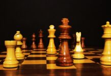An Expert Guide To Sales Leadership (Part 4) – Protecting Culture & Legacy Check Mate