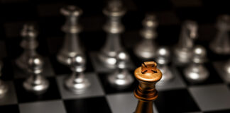 An Expert Guide To Sales Leadership (Part 2) – Non-negotiables & Accountability Chess Standout