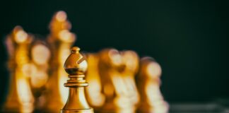 An Expert Guide To Sales Leadership (Part 3) – Managing People Chess piece