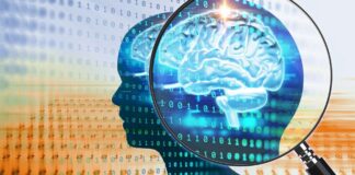How Are High-Impact Sales Leaders Hardwired? Hardwired 2