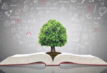 The Books That Taught Me How to Sell Books