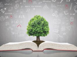 The Books That Taught Me How to Sell Books