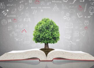 The Books That Taught Me How to Sell Books