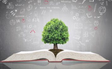 The Books That Taught Me How to Sell Books