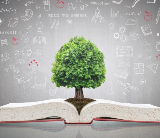 The Books That Taught Me How to Sell Books